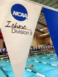Biewert, Waeger Added to NCAA Committee