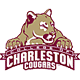 Charleston, College of