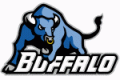 Buffalo, University at