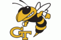 Georgia Institute of Technology